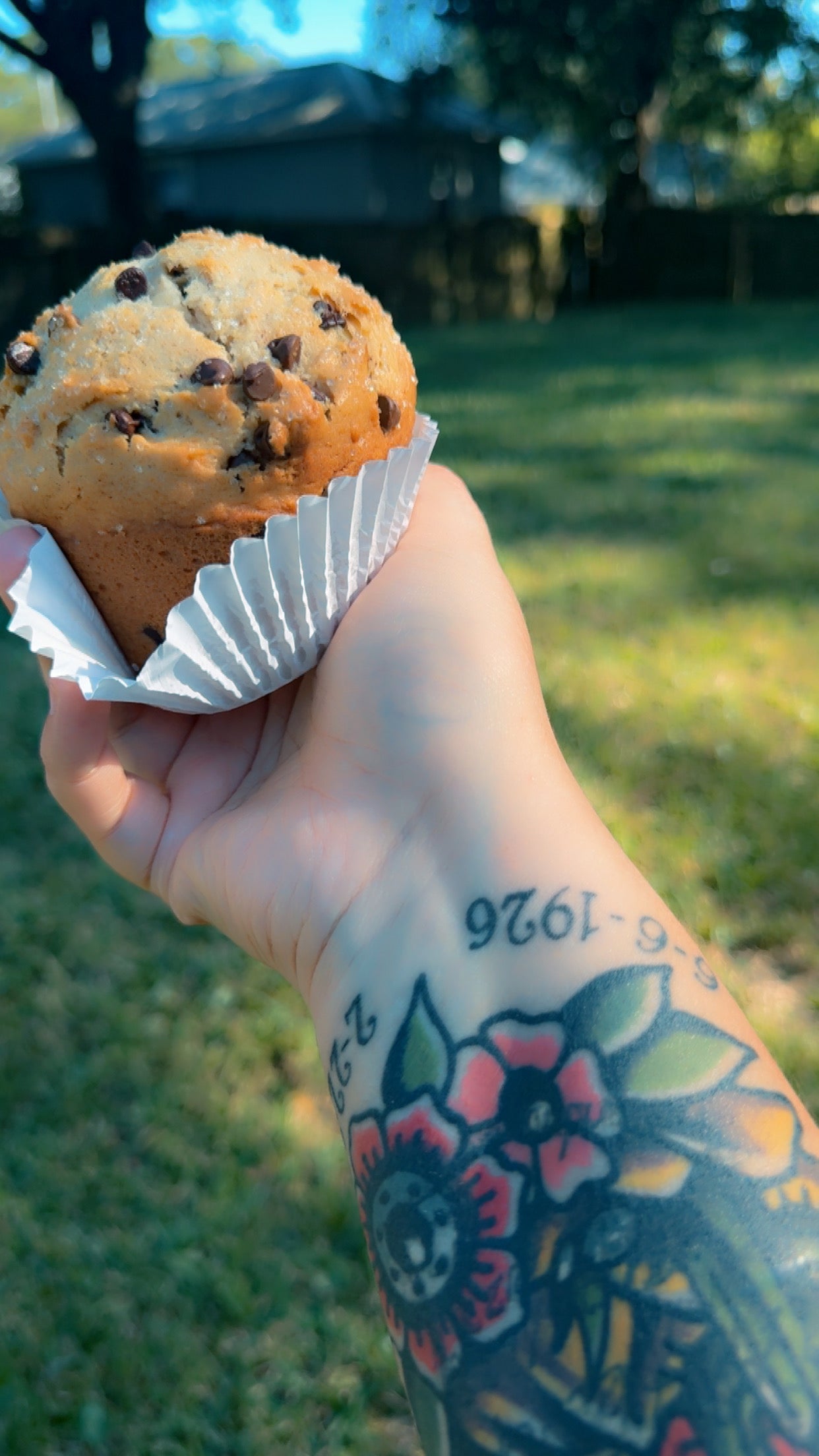 Chocolate Chip Muffin