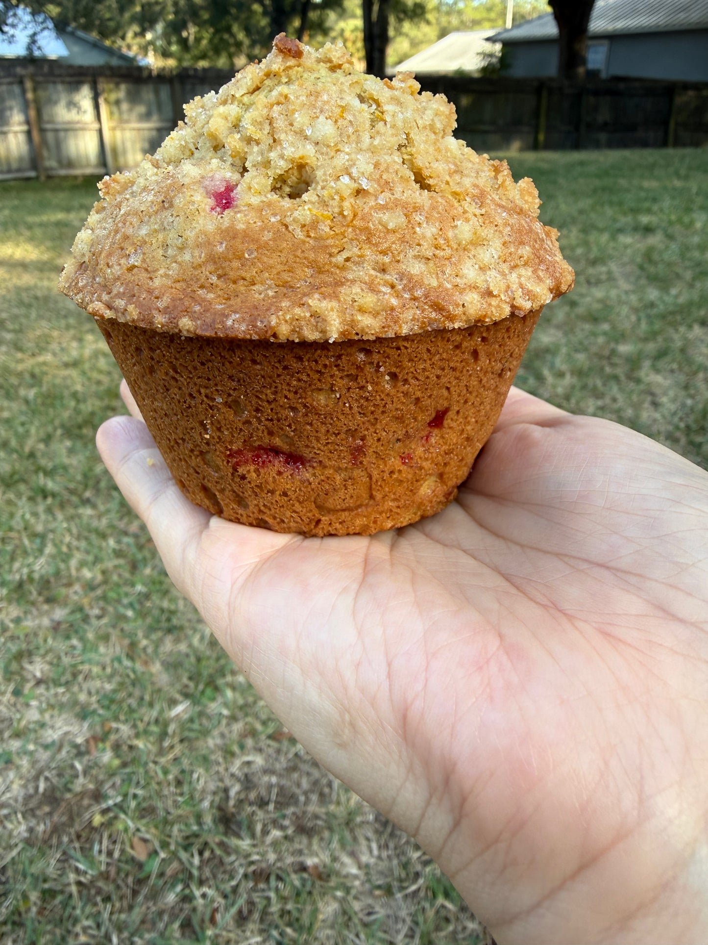 Cranberry Orange Muffin
