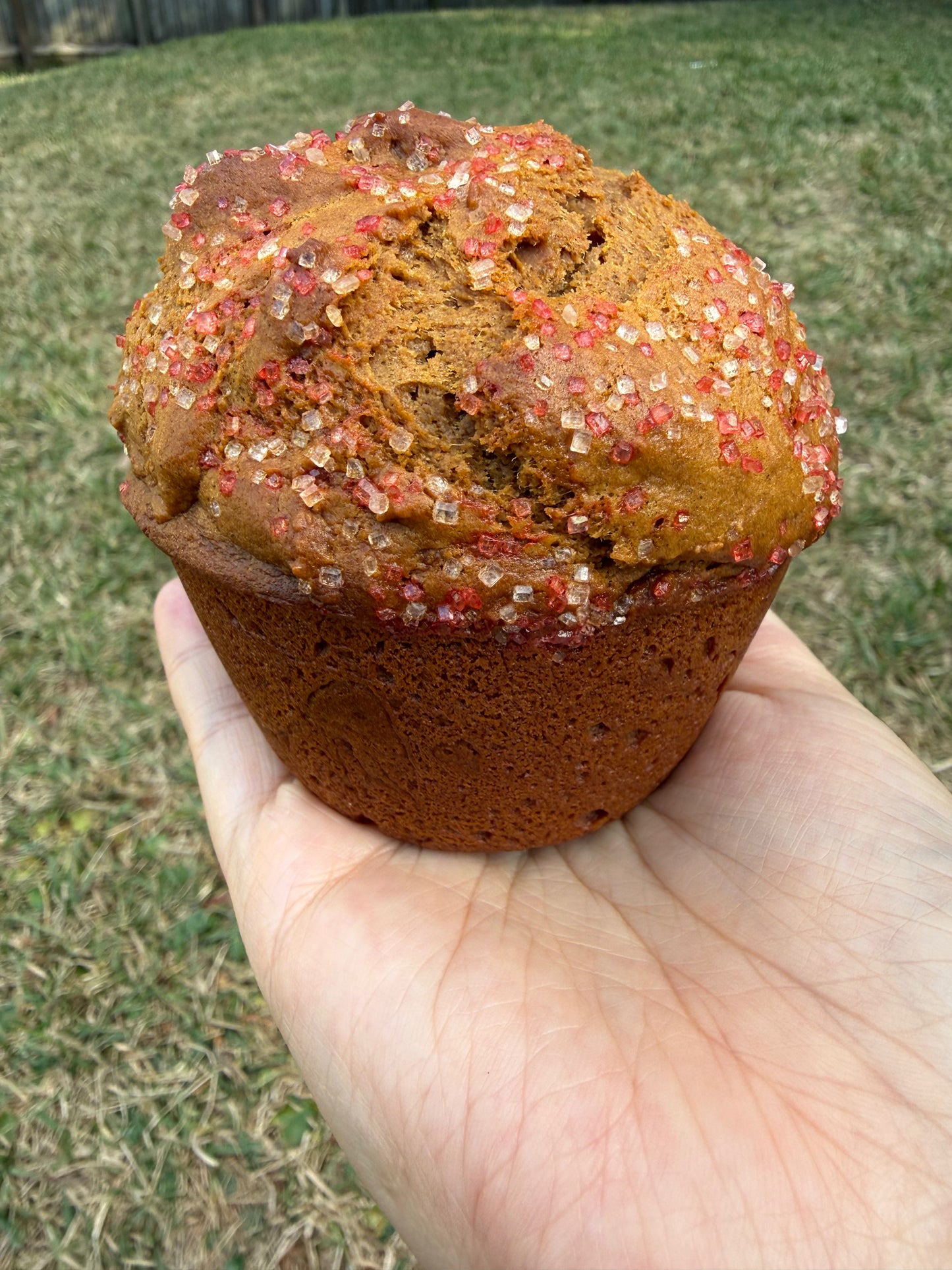 Gingerbread Muffin