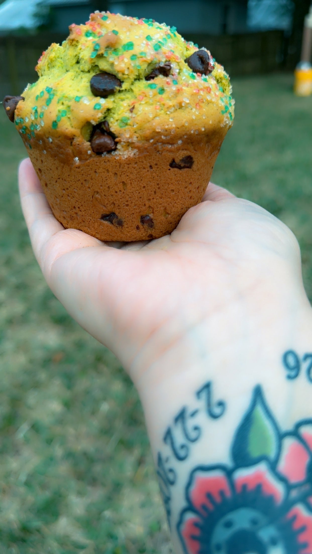 Chocolate Chip Muffin