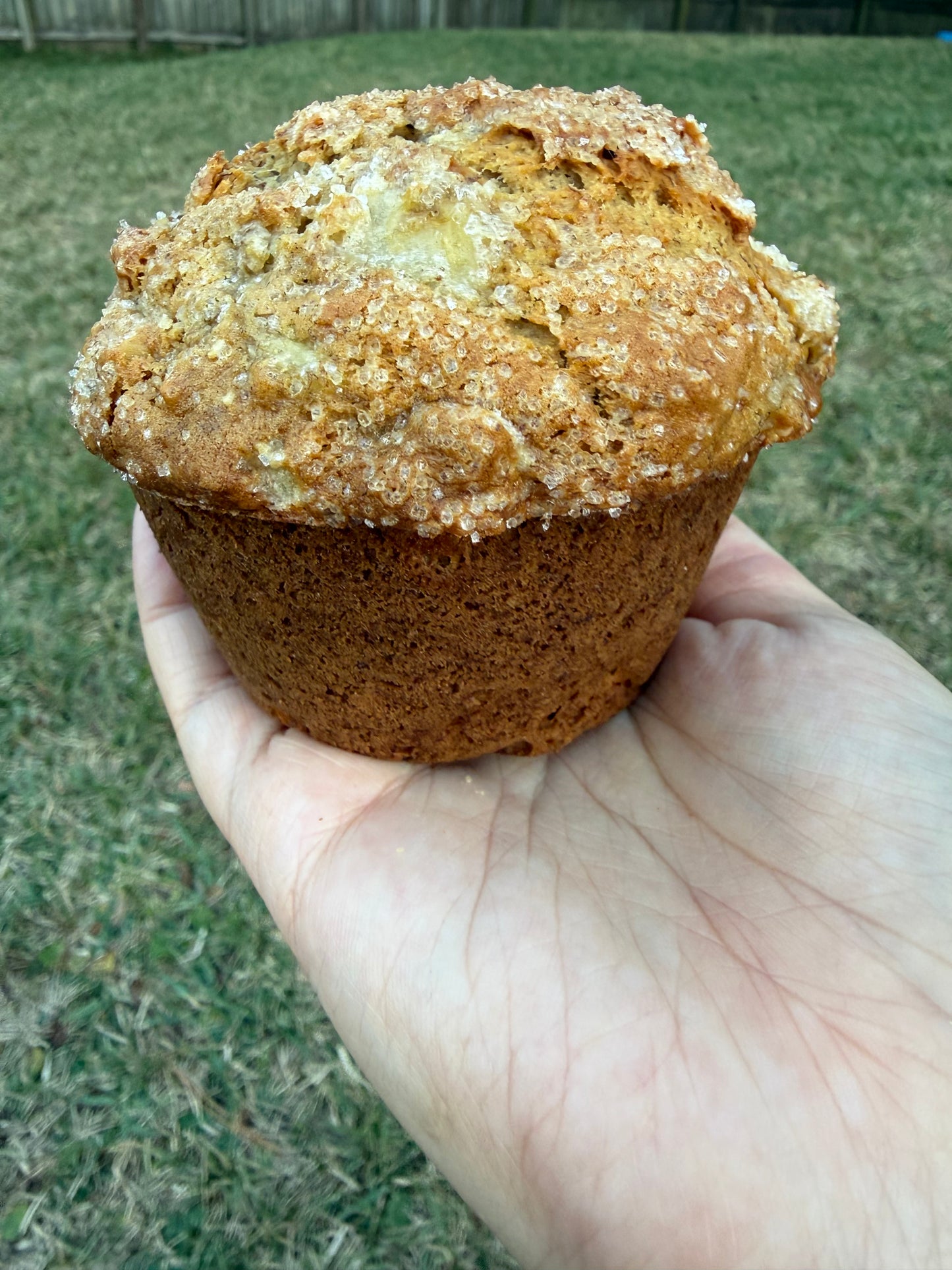 Banana Muffin